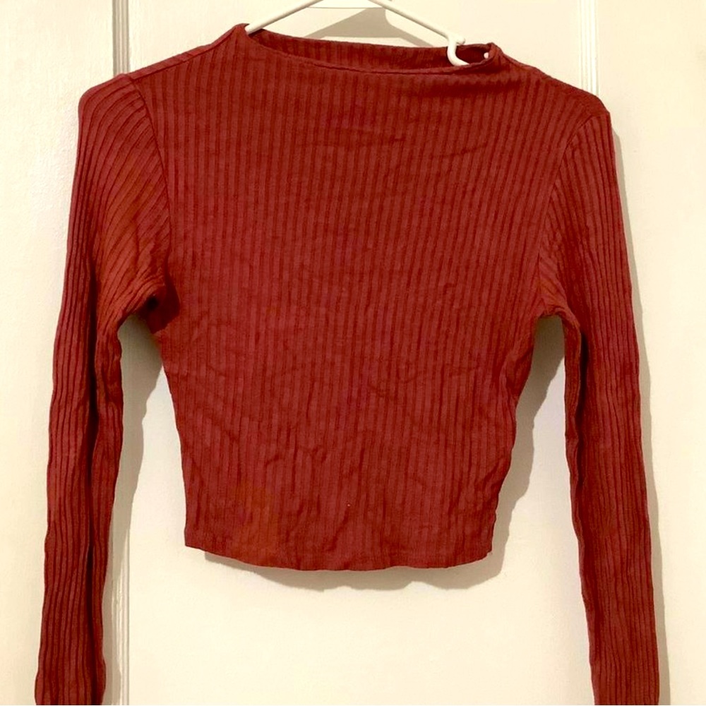 Long sleeve turtleneck crop top